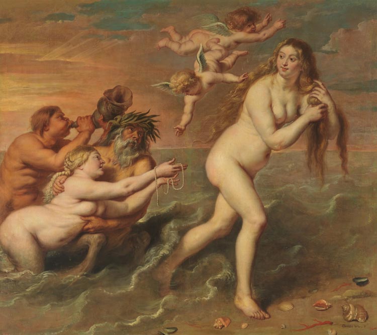 Nacimiento de Venus . Cornelis de Vos - Museo del Prado