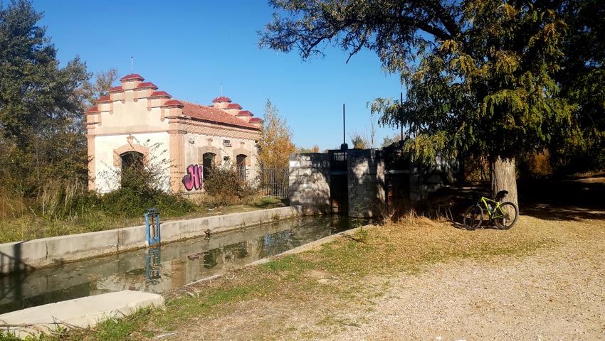 Centro regulador 