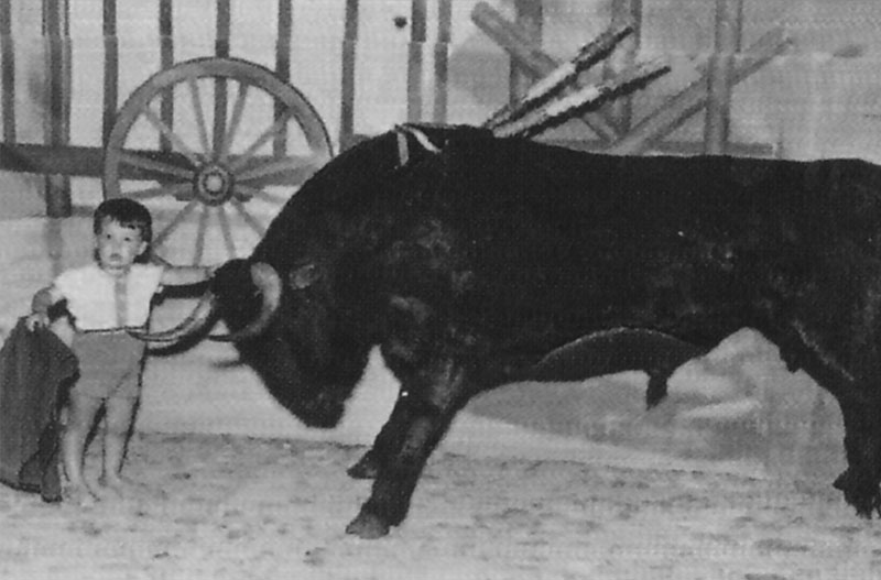 Niño posando ante una figura de toro