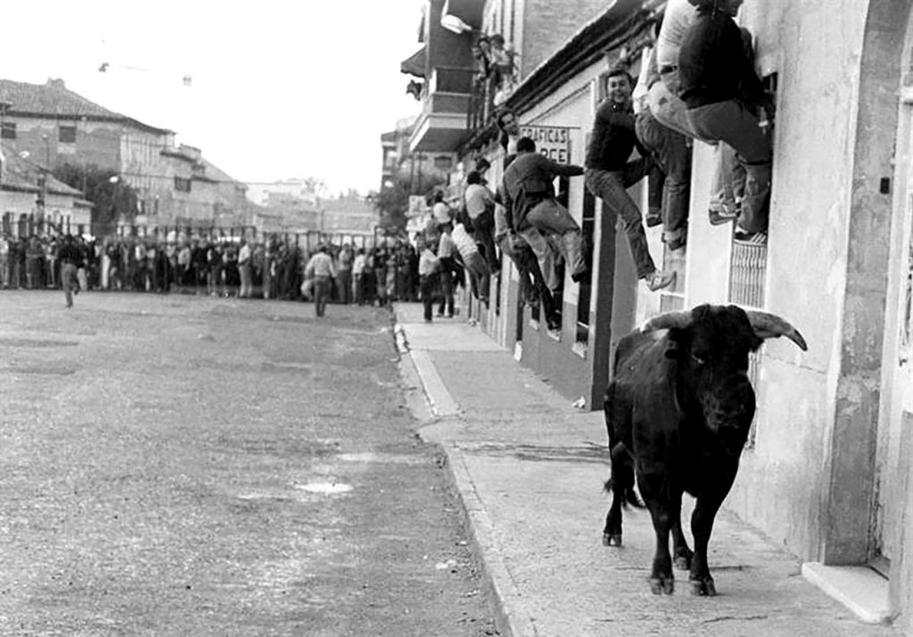 Encierros 1982