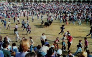 Vaquillas